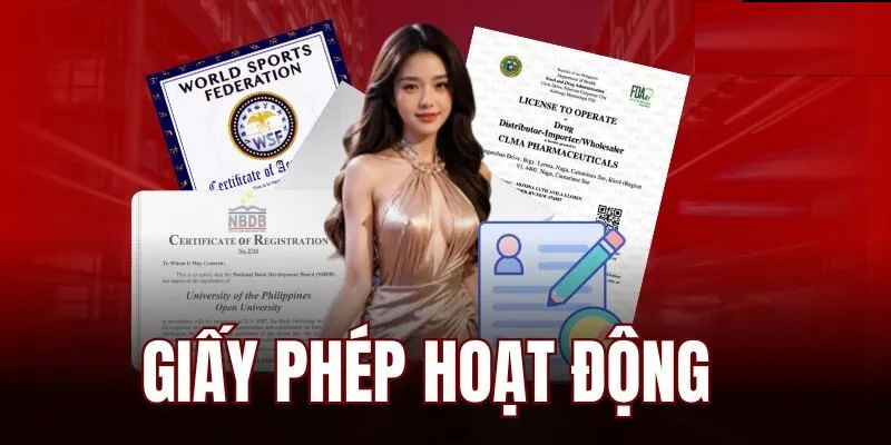 Tổng quan về giấy phép hoạt động chi tiết